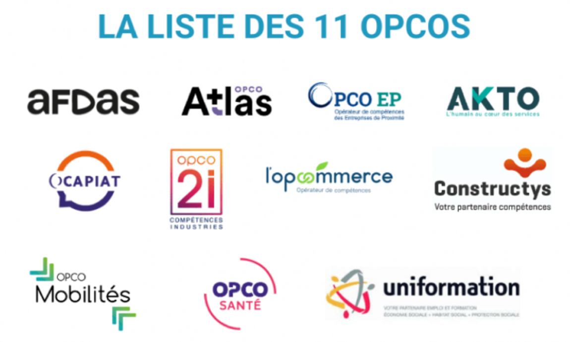 OPCO et formation : un levier concret pour renforcer la cohésion et la performance des habitats